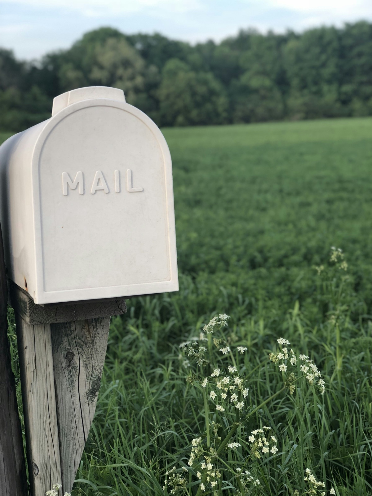 Briefkasten auf einer Wiese
